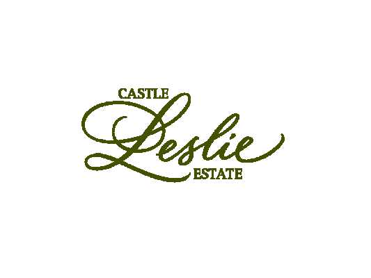 Castle Lesl