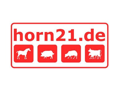 Horn21
